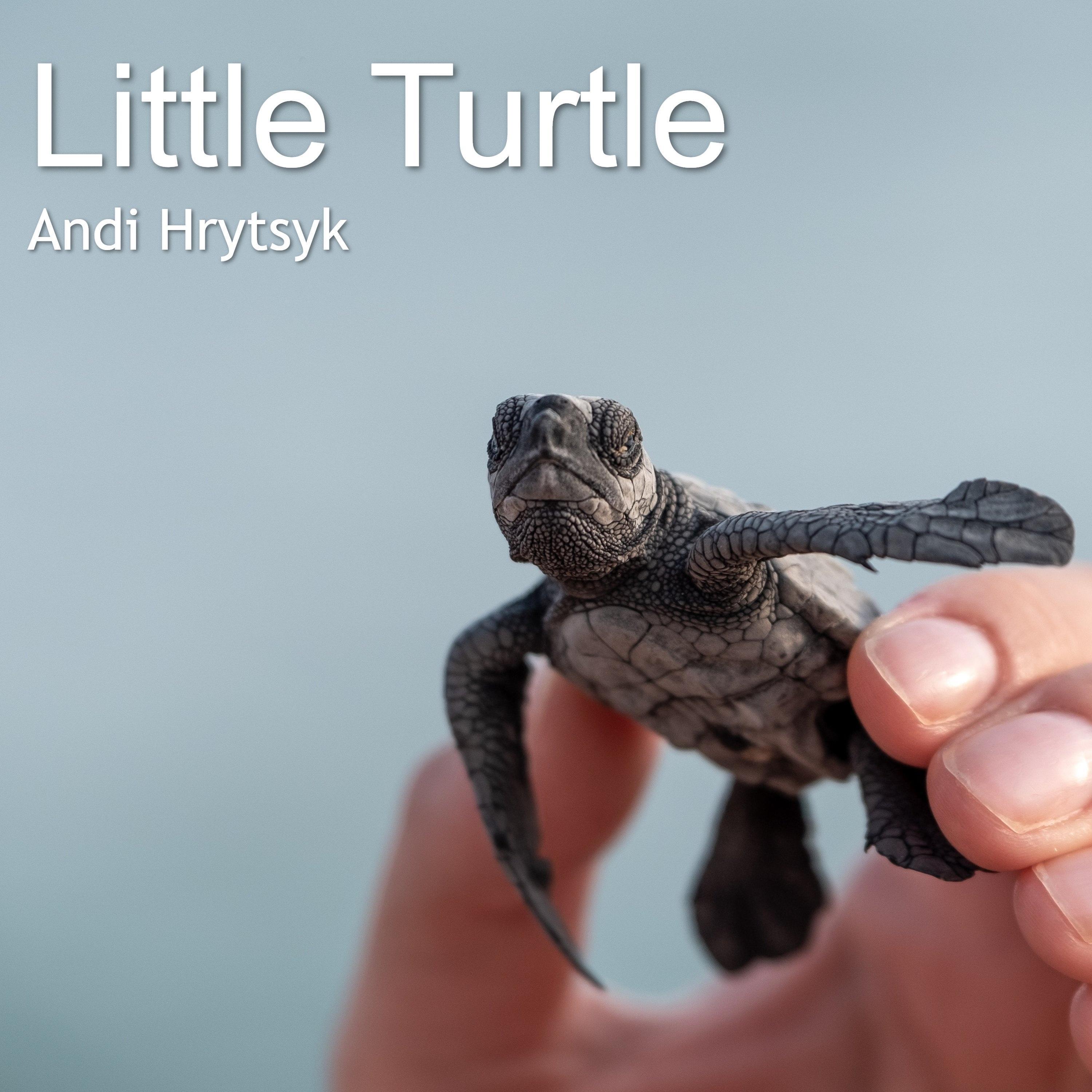 Little Turtle