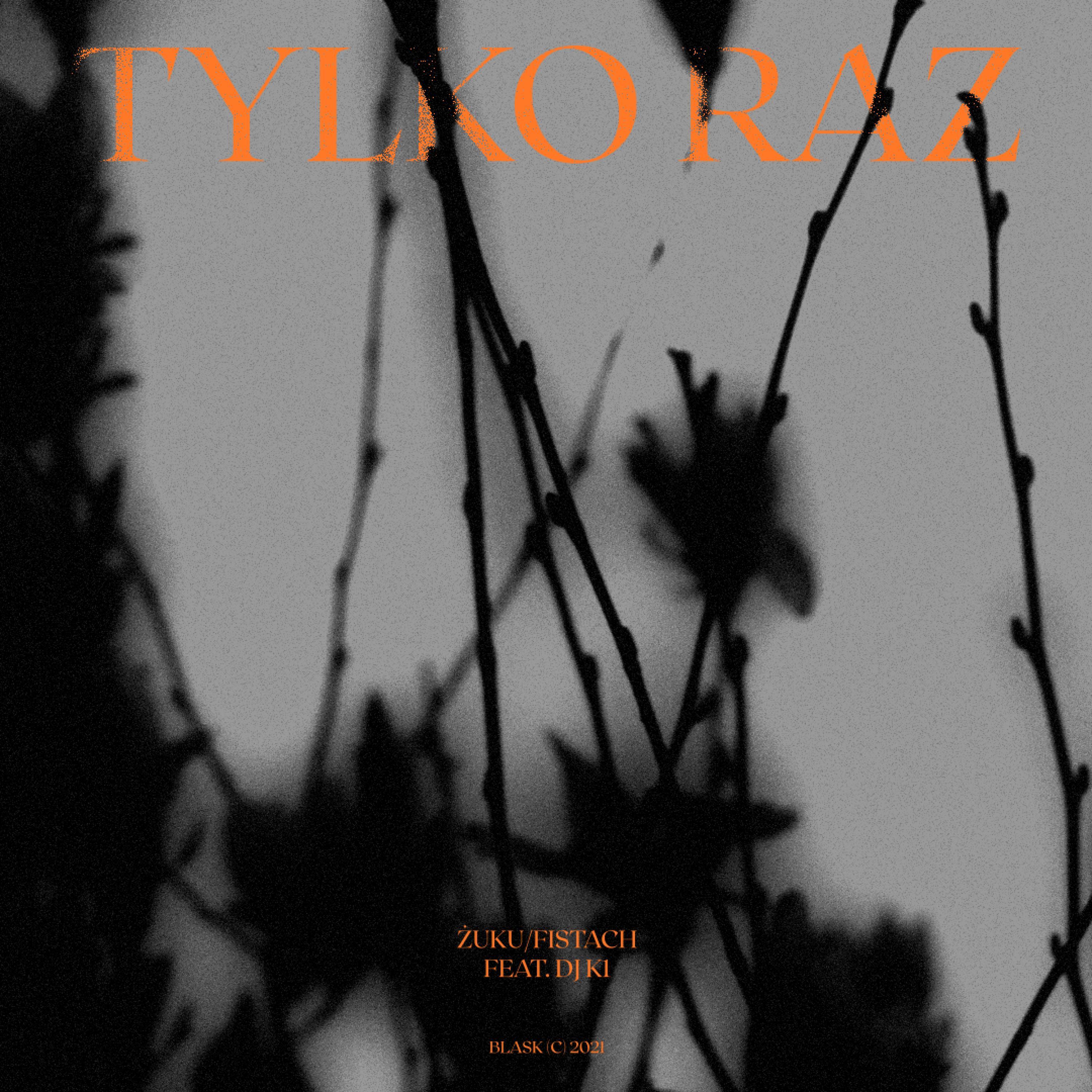 Tylko Raz (feat. Fistach & DJ K1)