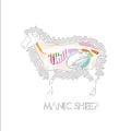 Manic Sheep