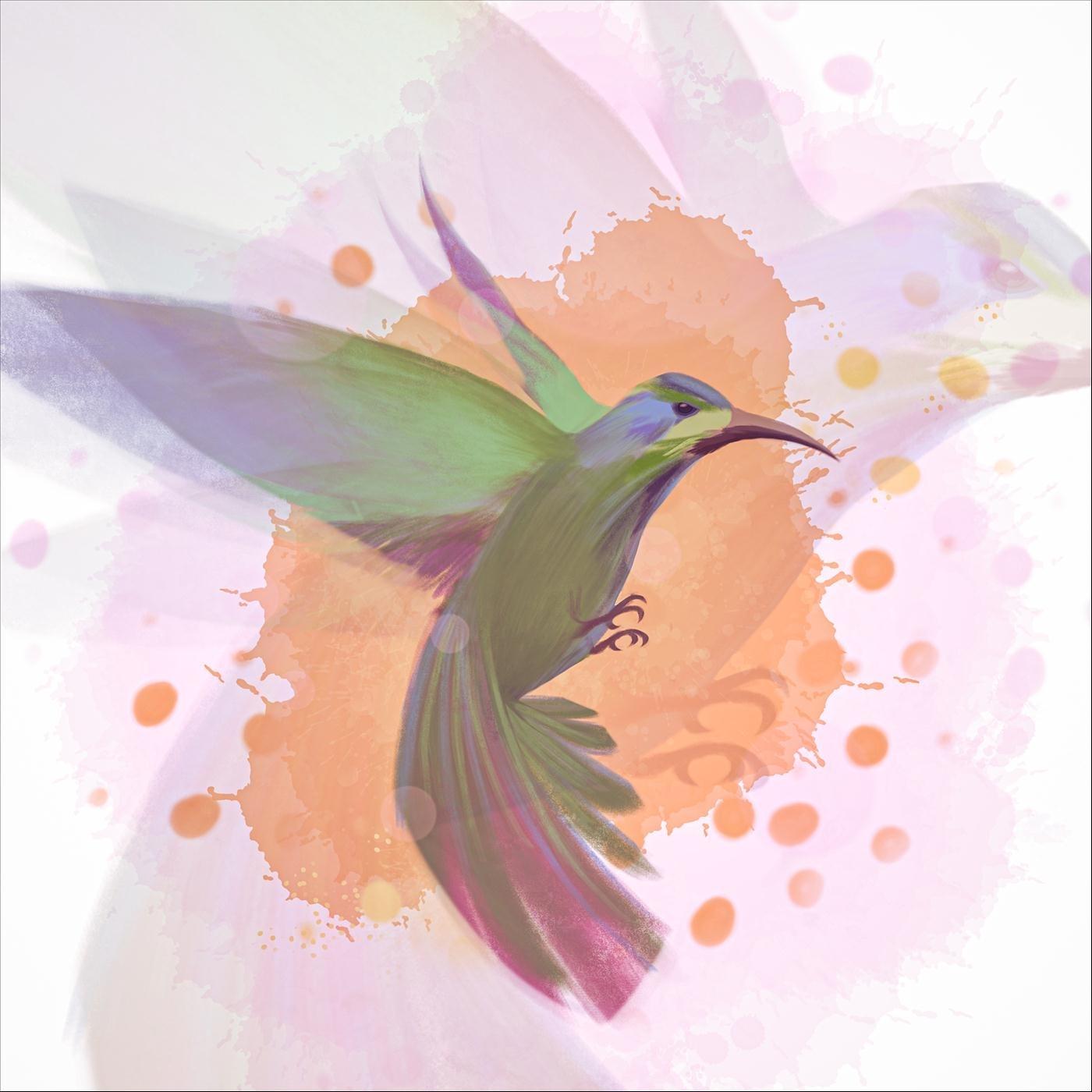 Colibrí