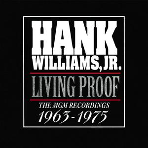 Hank Williams Jr - Liquor to Like Her (PT karaoke) 带和声伴奏