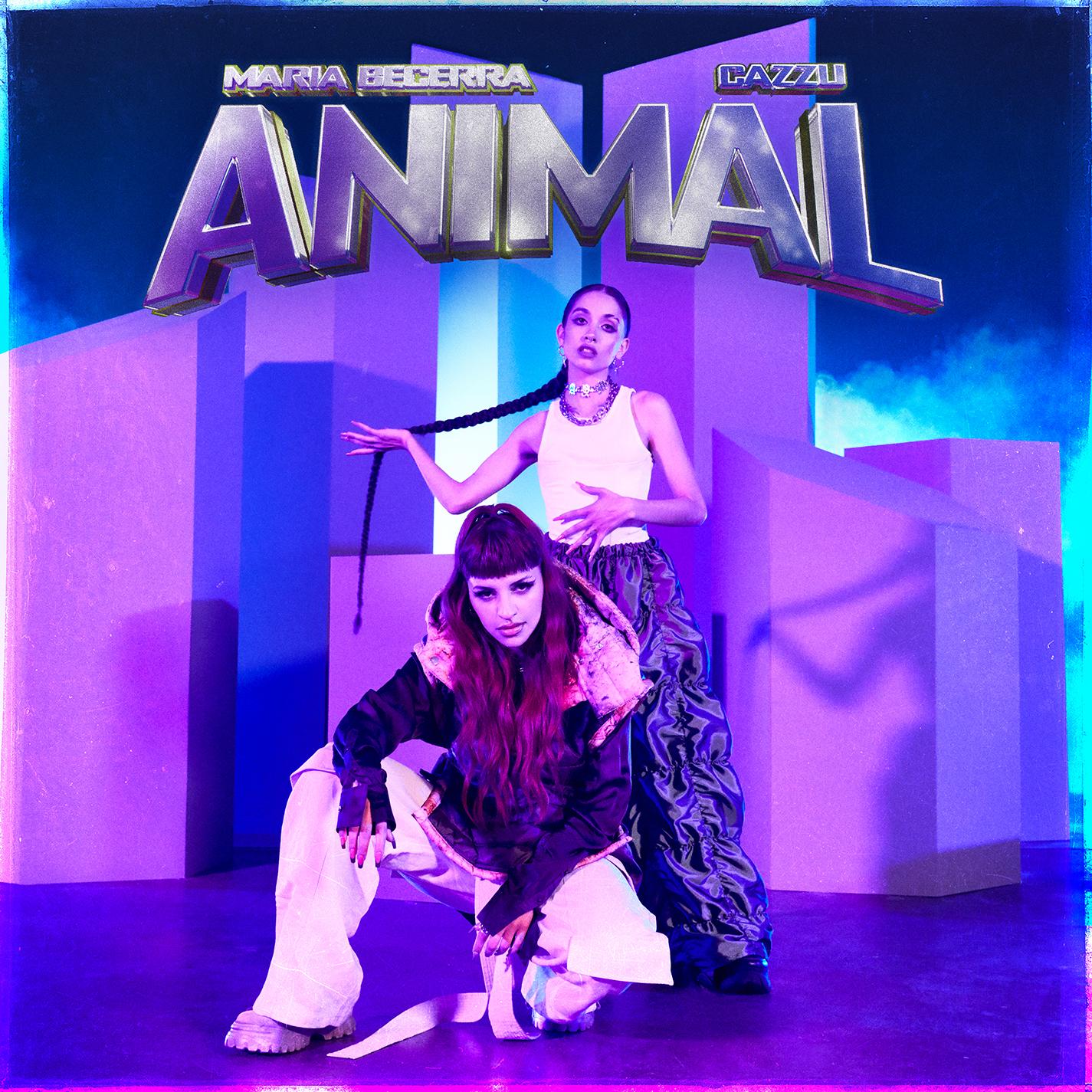 Animal