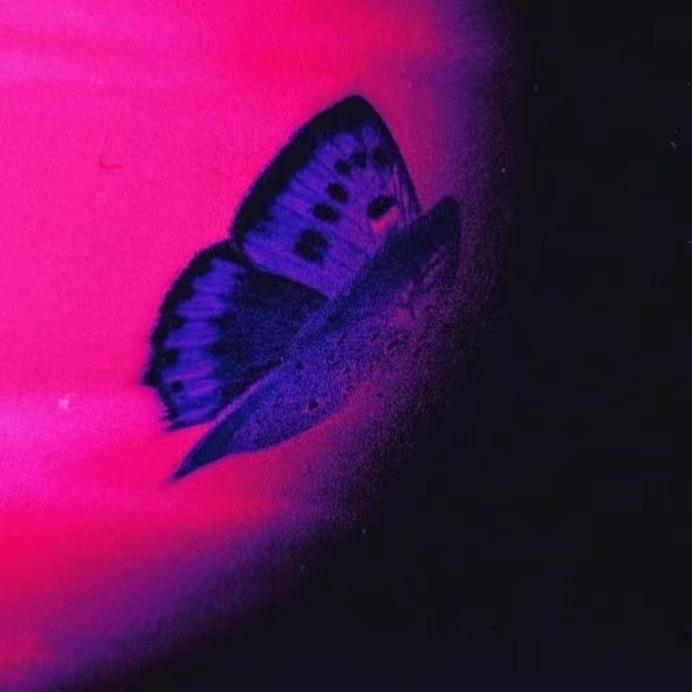 Butterfly (Prod.Siren)