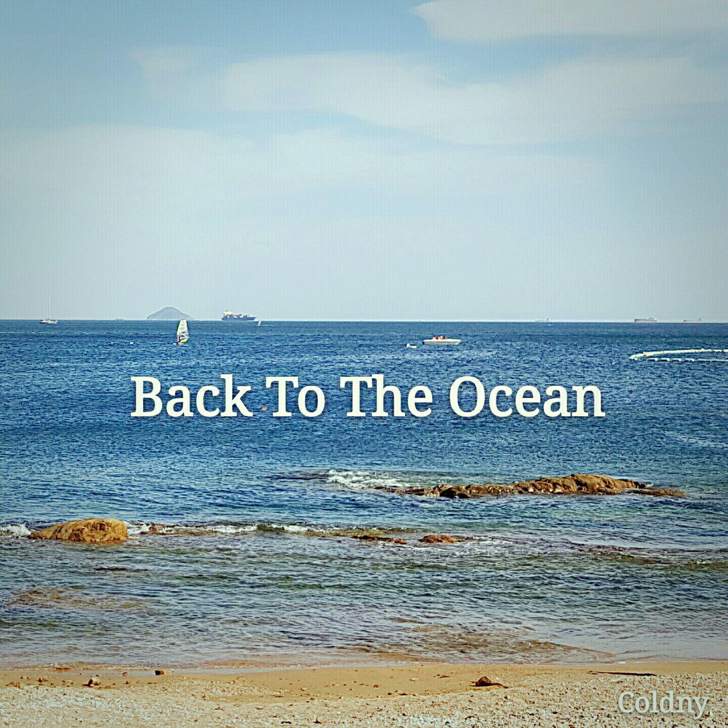 Back To The Ocean专辑