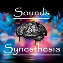 Sounds of Synesthesia专辑