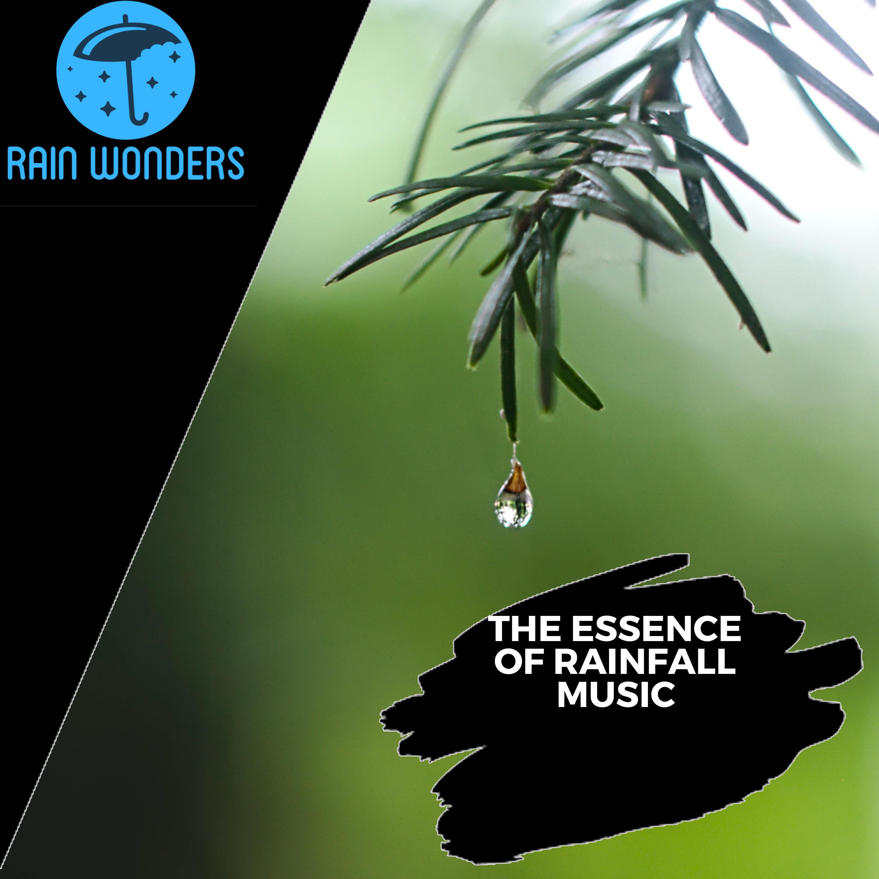Rain Parachute 9D Nature Sound - Light Rain of Kindness