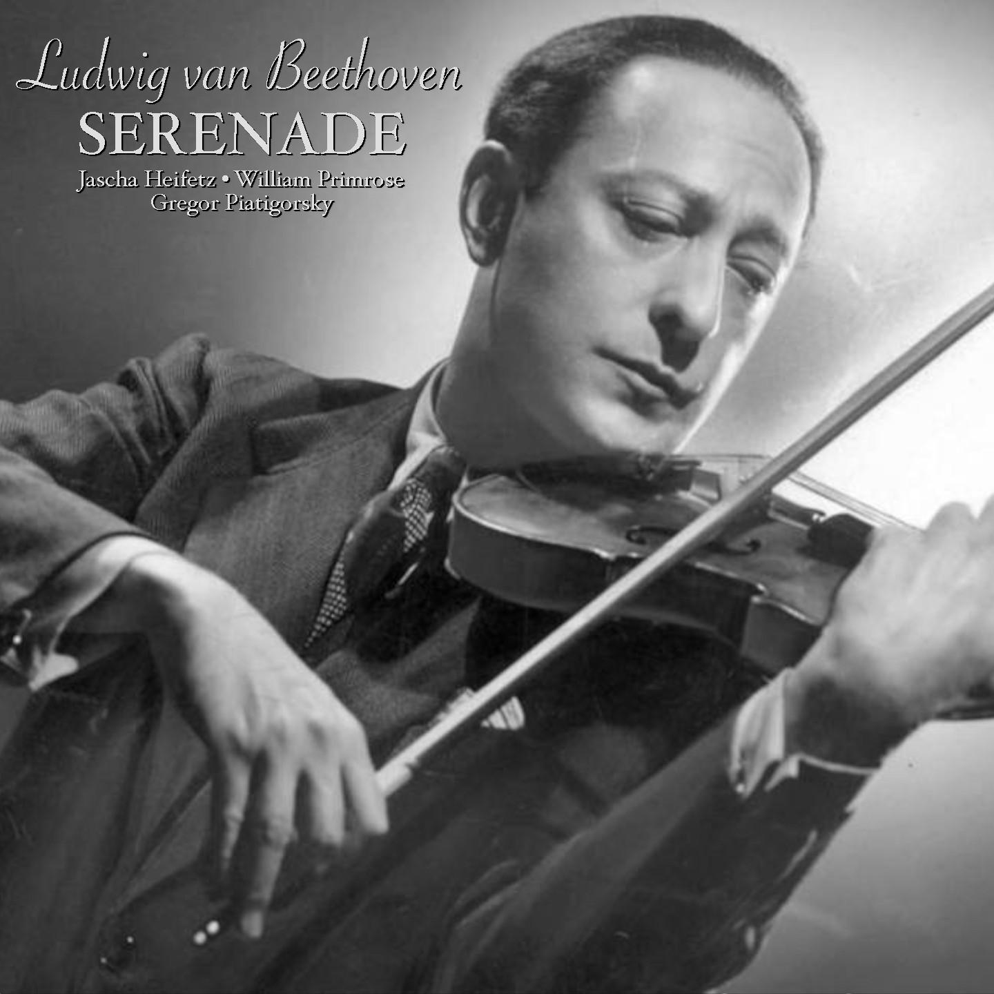 Beethoven: Serenade for Violin, Viola and Cello in D major