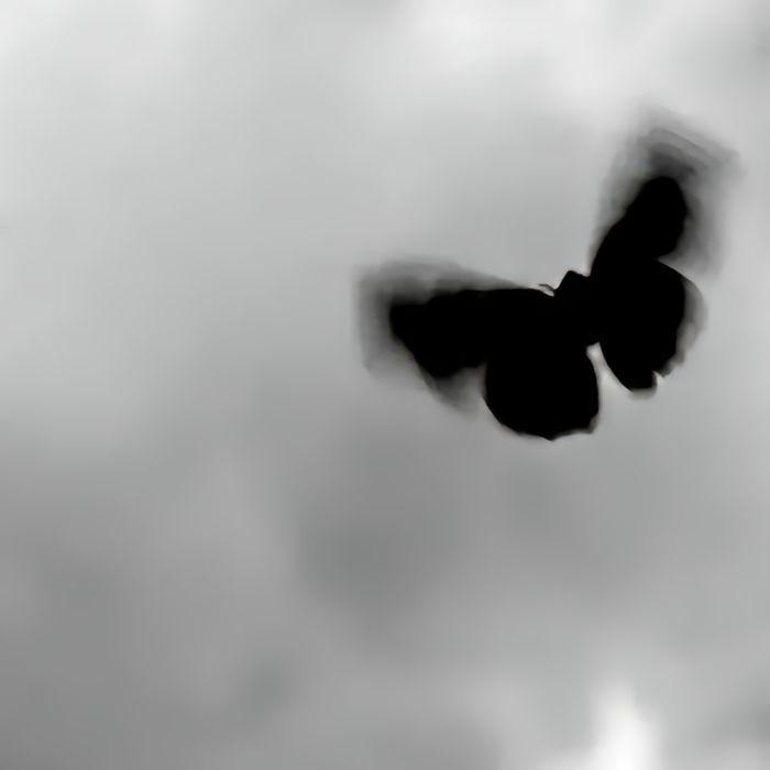 病变BINGBAN（抖音热版DJ）