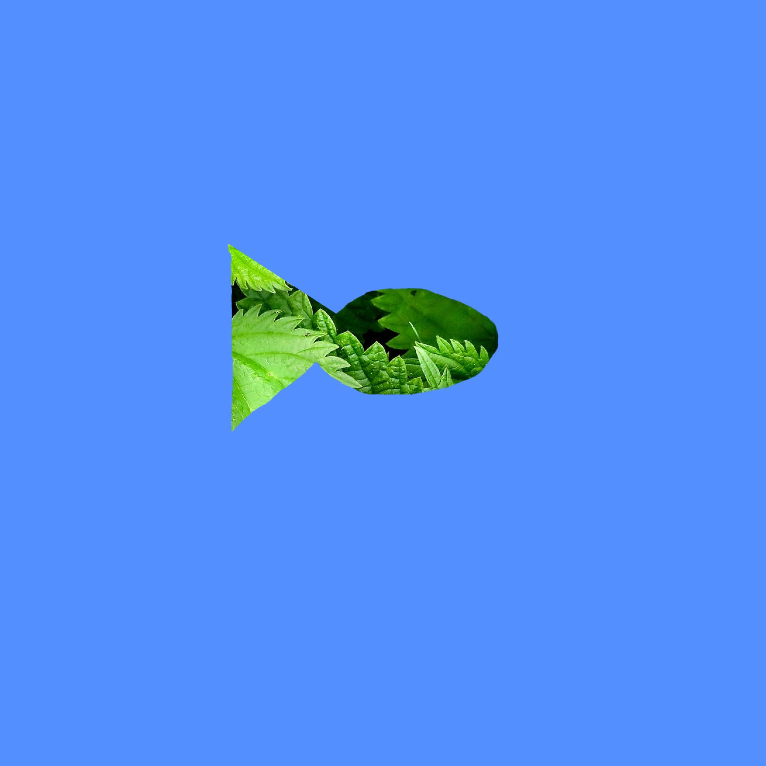 Aquarium (feat. minus)