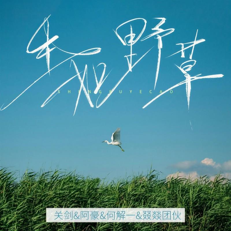 生如野草 (伴奏)