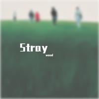 Stray