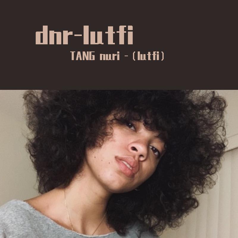 dnr-lutfi（车载）