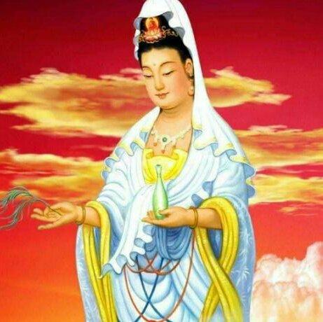 茗心禅乐：心静自清