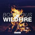 Wildfire 专辑