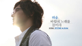 바람의 노래를 들어라专辑