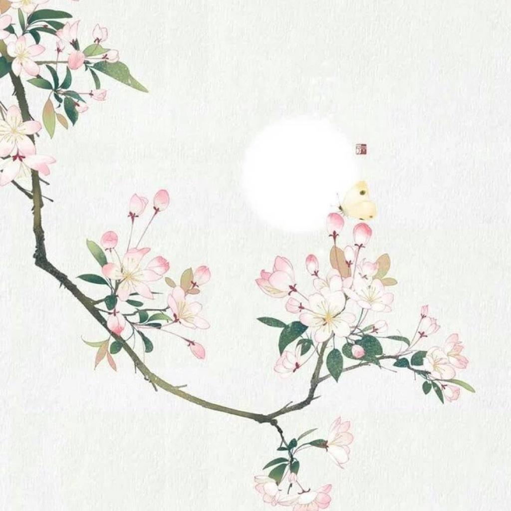 许一场盛世繁华（古风婚礼）
