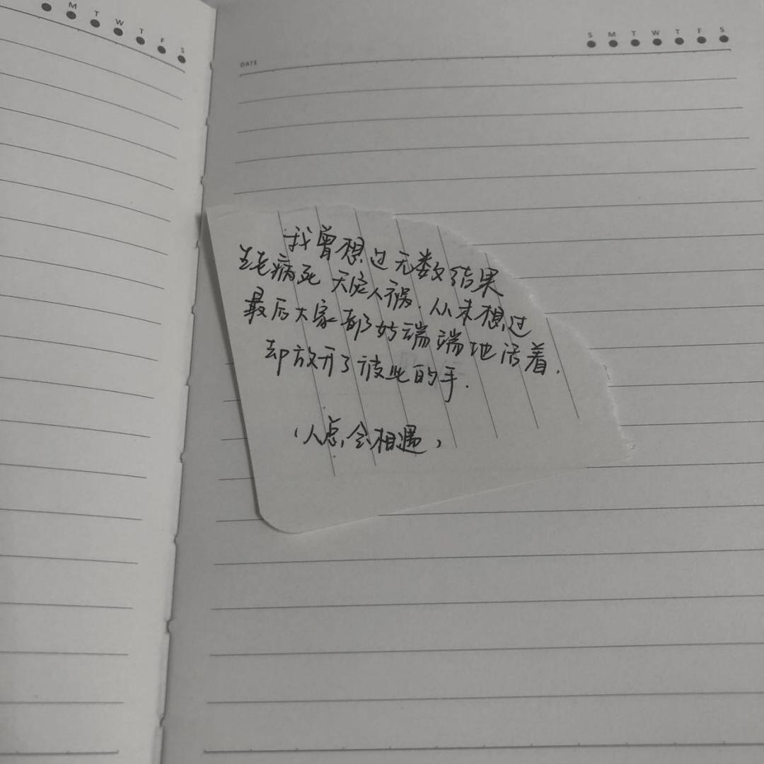 阿拉斯加海湾