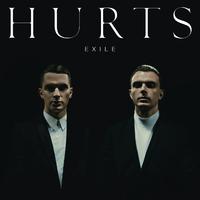 Hurts - The Crow (消音版) 带和声伴奏