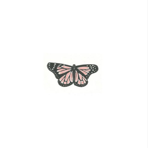 Kalan.FrFr ft Tyga - Butterfly Coupe (Instrumental) 原版无和声伴奏 （升2半音）