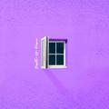 DOF ep #hot