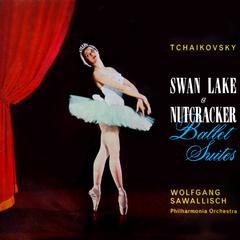 The Swan Lake, Op. 20 Suite: Swan Theme