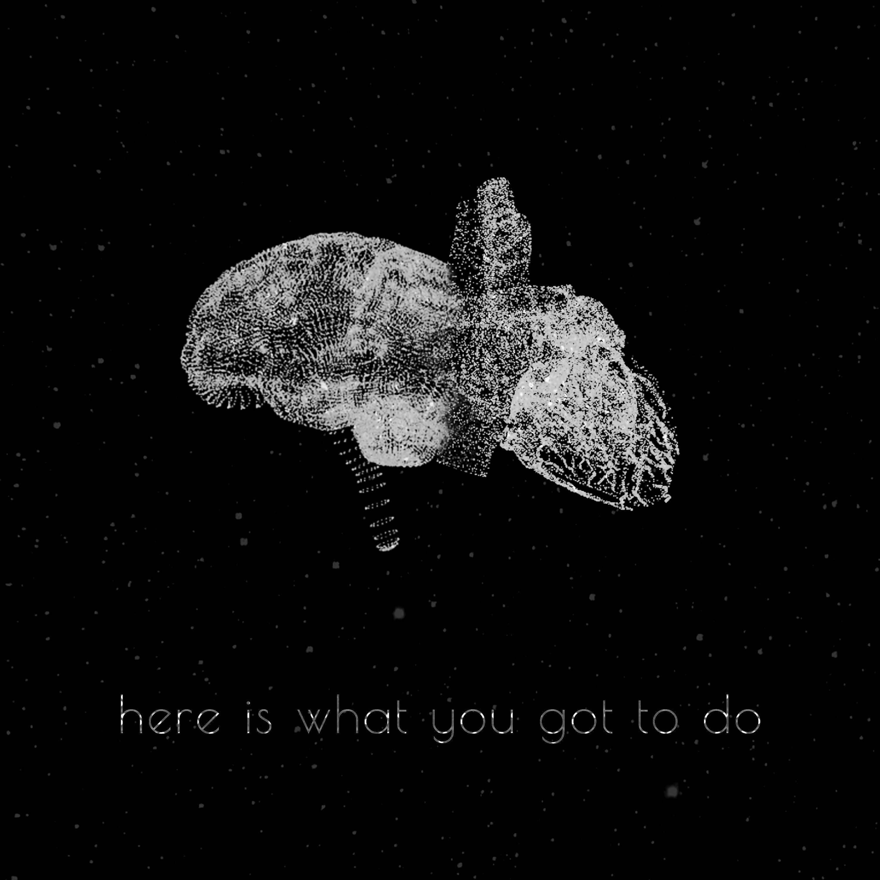 here is what you got to do