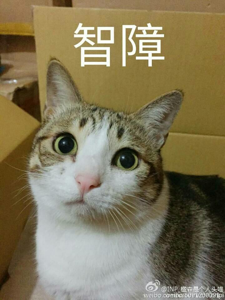 祝贺的古风翻唱