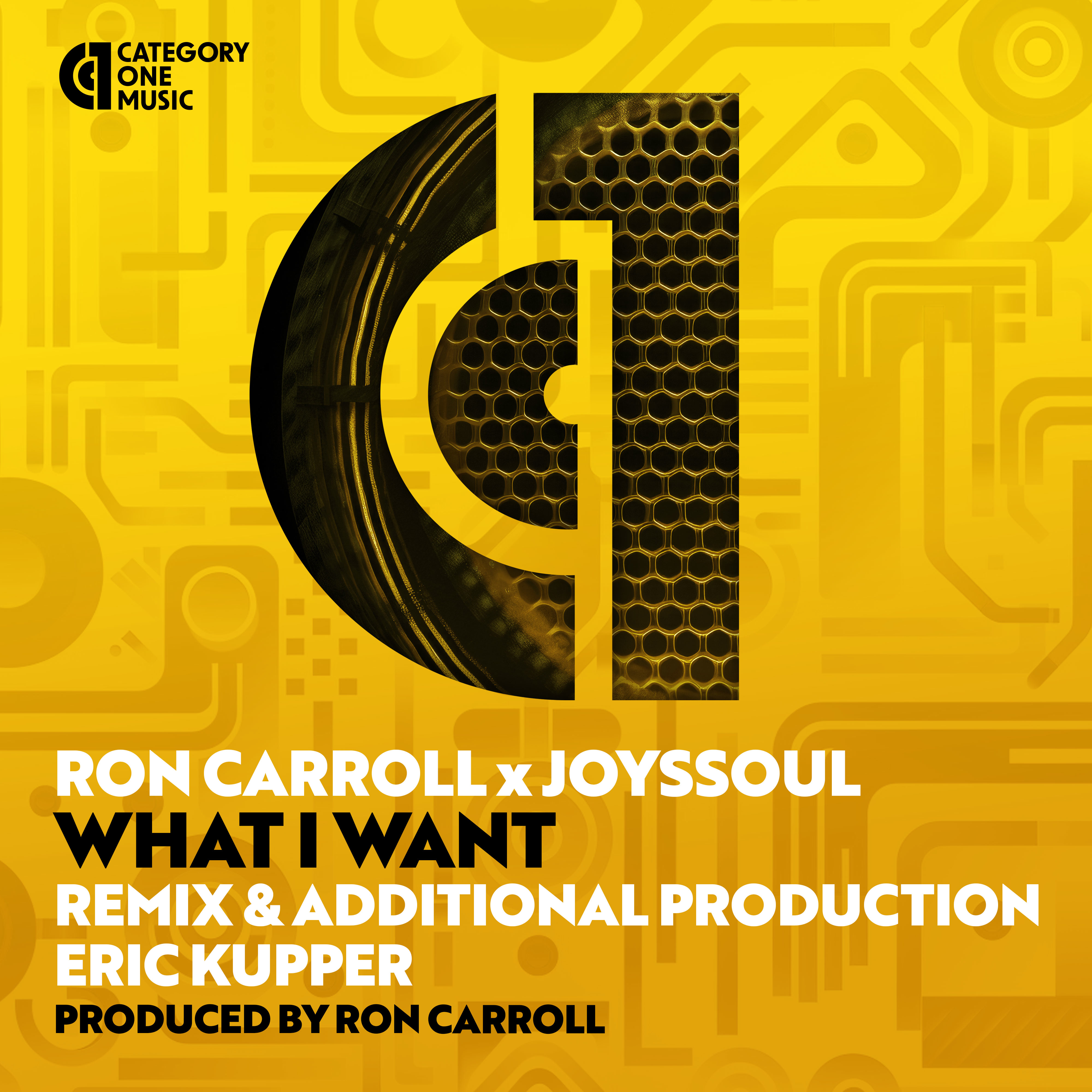 Ron Carroll - What I Want (Eric Kupper Remix Edit)