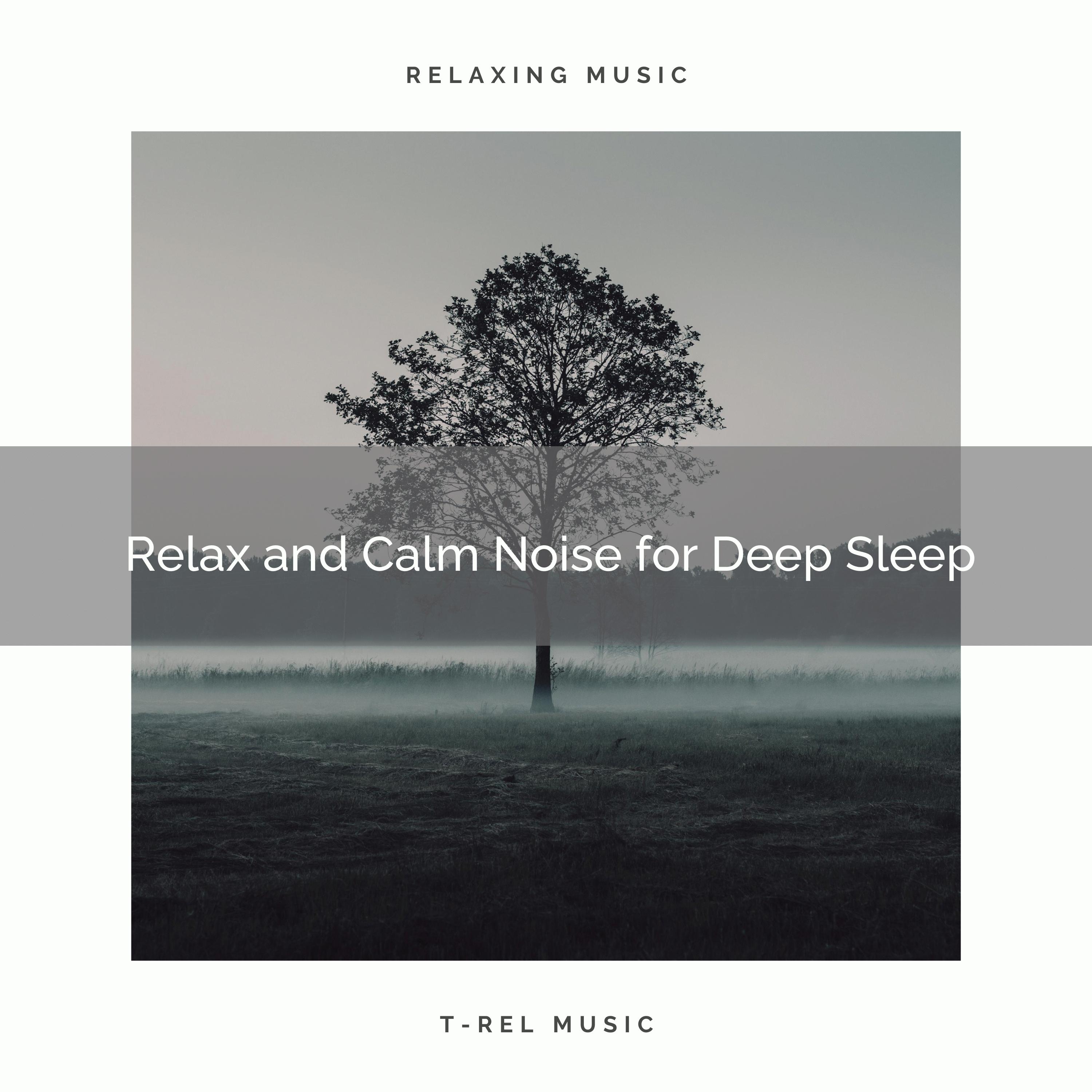 0001 Relax and Calm Noise for Deep Sleep