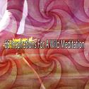 68 Inspirations For A Wild Meditation专辑