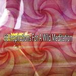 68 Inspirations For A Wild Meditation专辑