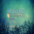 Moon Kids​(​Etherwood Remix)