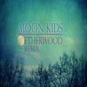 Moon Kids​(​Etherwood Remix)专辑