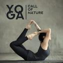 Yoga Call of Nature: 2019 New Age Ambient & Nature Music for Meditation & Relaxation, Calming Zen So专辑