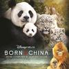 Born in China (Original Motion Picture Soundtrack)专辑