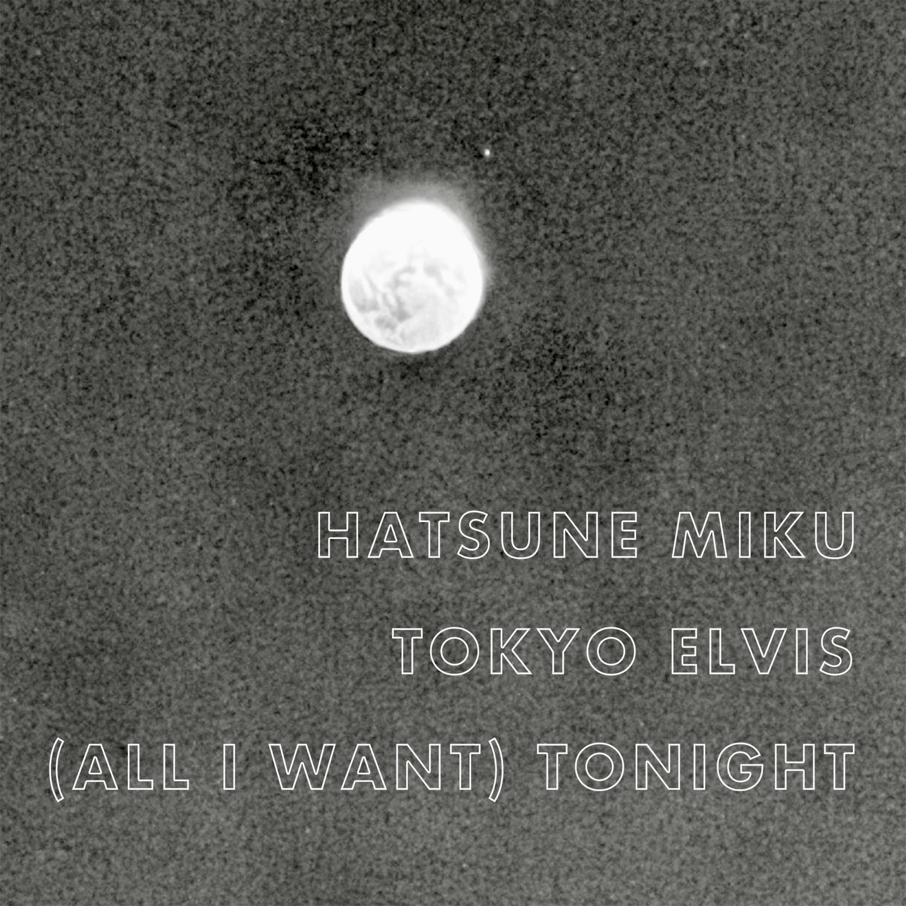 (All I Want) Tonight (feat. Hatsune Miku)