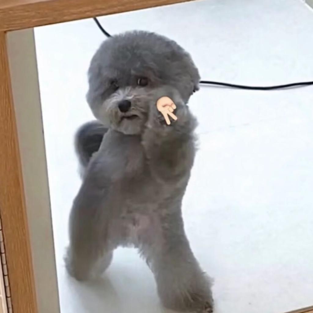 欢乐时光就要开始了