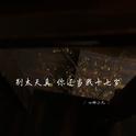 别太天真 你还当我十七岁专辑