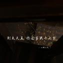 别太天真 你还当我十七岁专辑