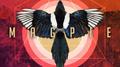 Magpie (Niklas Thal Remix)专辑