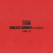 Endless Summer Freestyle