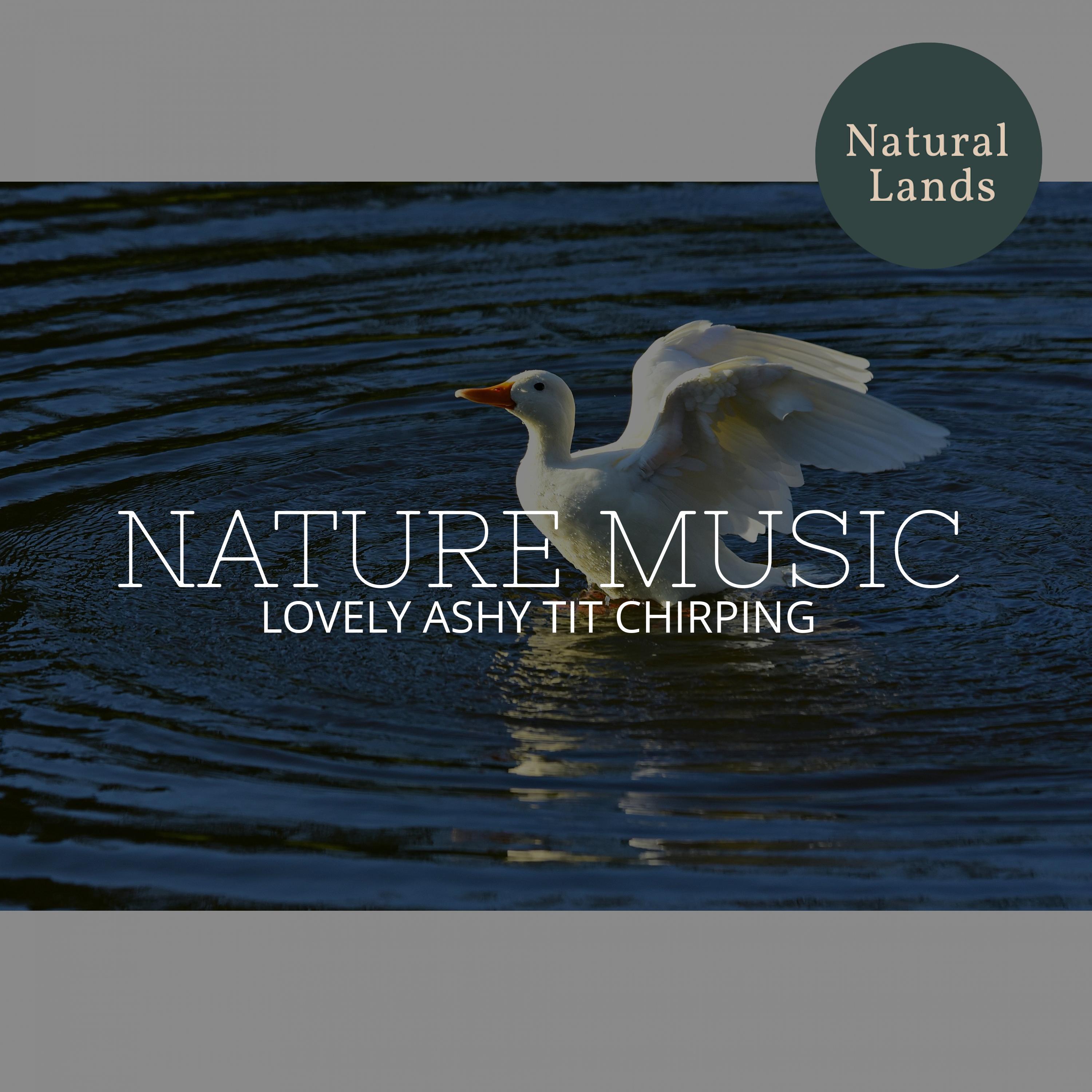 Happy and Kind Nature Music - Inspiring Music of Forest Sunrise