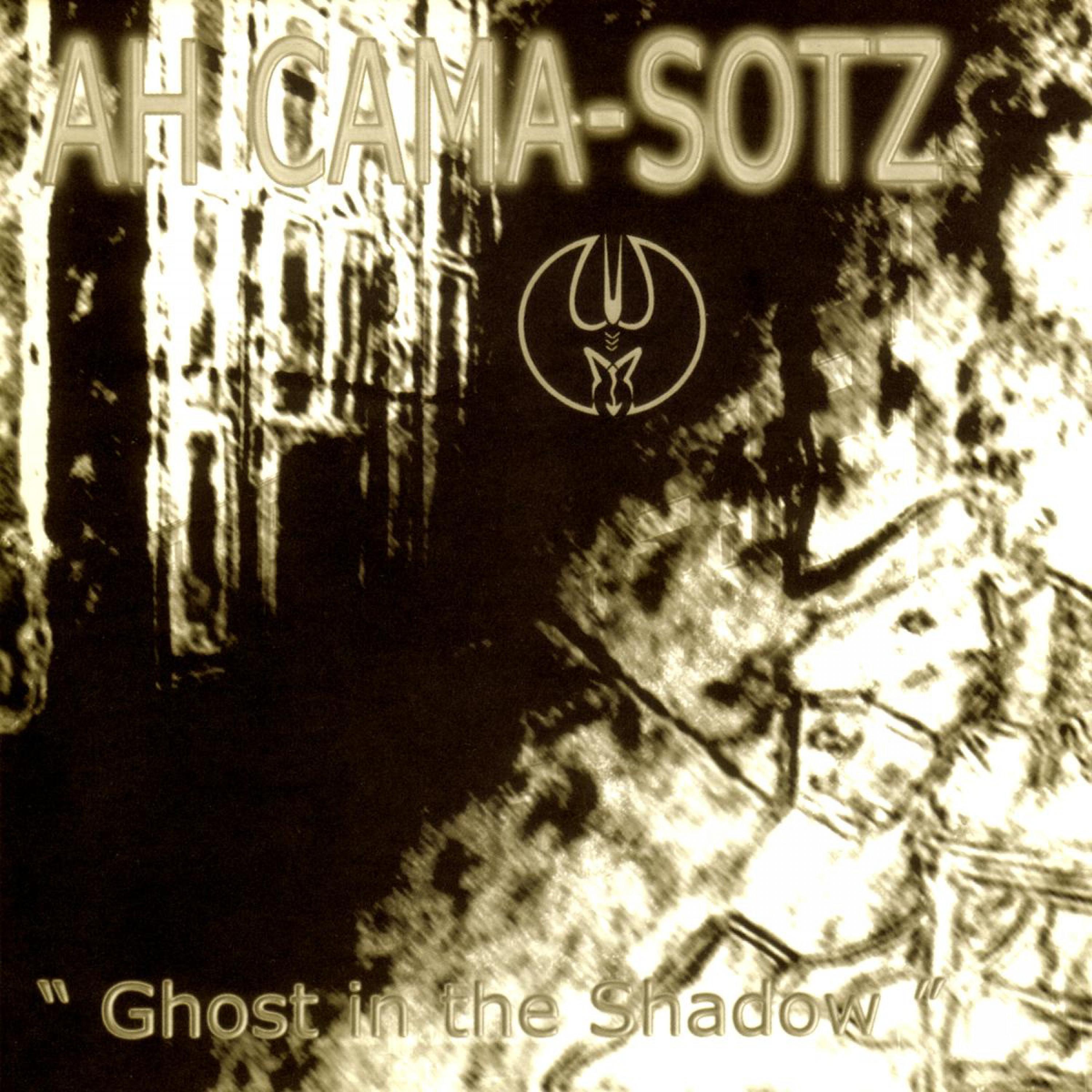 Ghost in the Shadow