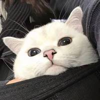 青春版 yes ok 伴奏 高品质 纯伴奏
