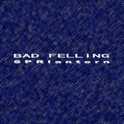 BaD fElLiNg专辑