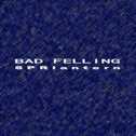 BaD fElLiNg专辑