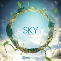 Sky - Martell Steerner  （Radio Edit）