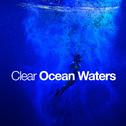 Clear Ocean Waters专辑