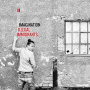 III - Illegal Immigrants