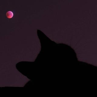 轻音乐/自然环境小噪音。